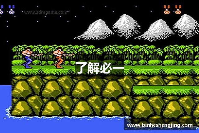 了解必一